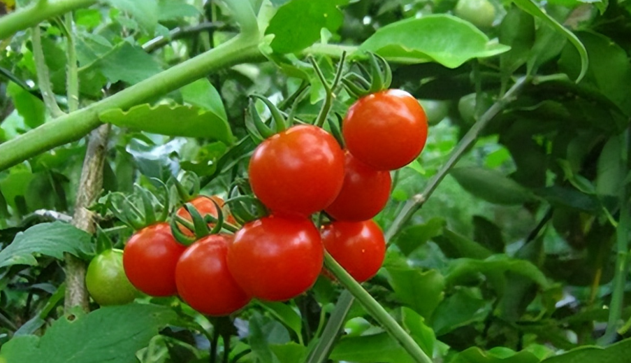 640 (2).png 640 (2).png